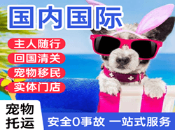 洛阳北郊机场托运国际宠物托运 【国